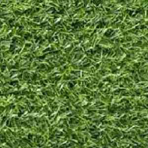Искусственная трава Ideal WUXI - NQS 1812 WUXI - NQS 1812 фото ##numphoto## | FLOORDEALER